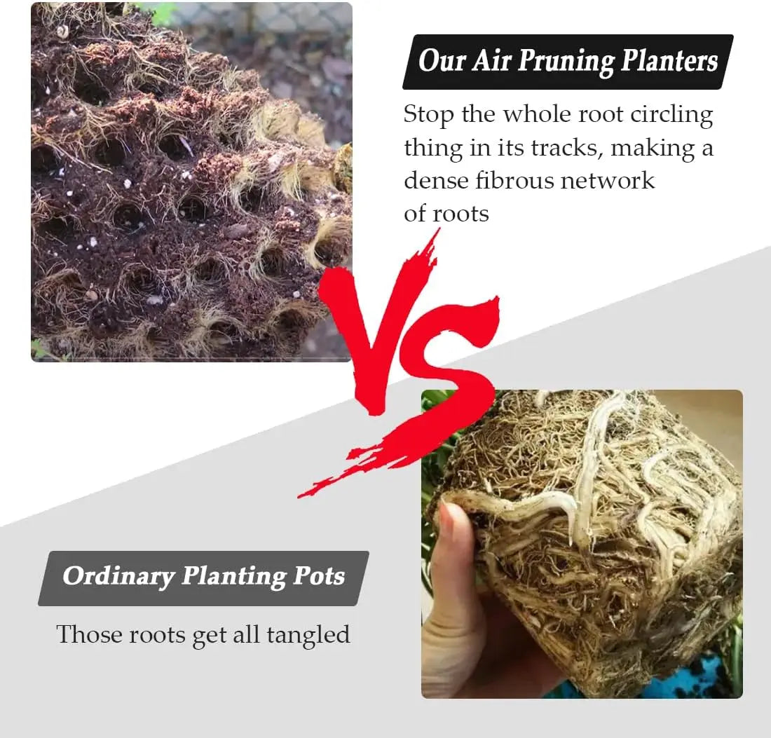 Air Pruning Plant Pots 5 Pack for Vegetable Garden