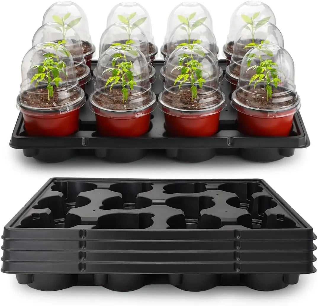 Nursery Pots With Humidity Domes And Seedling Trays